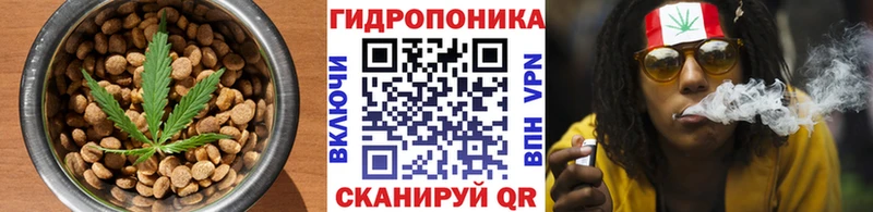 продажа наркотиков  kraken ONION  Печенье с ТГК марихуана  Тырныауз 