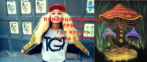 spice Абинск
